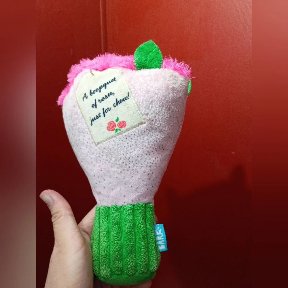 Pink and Green Plush Dog Toy